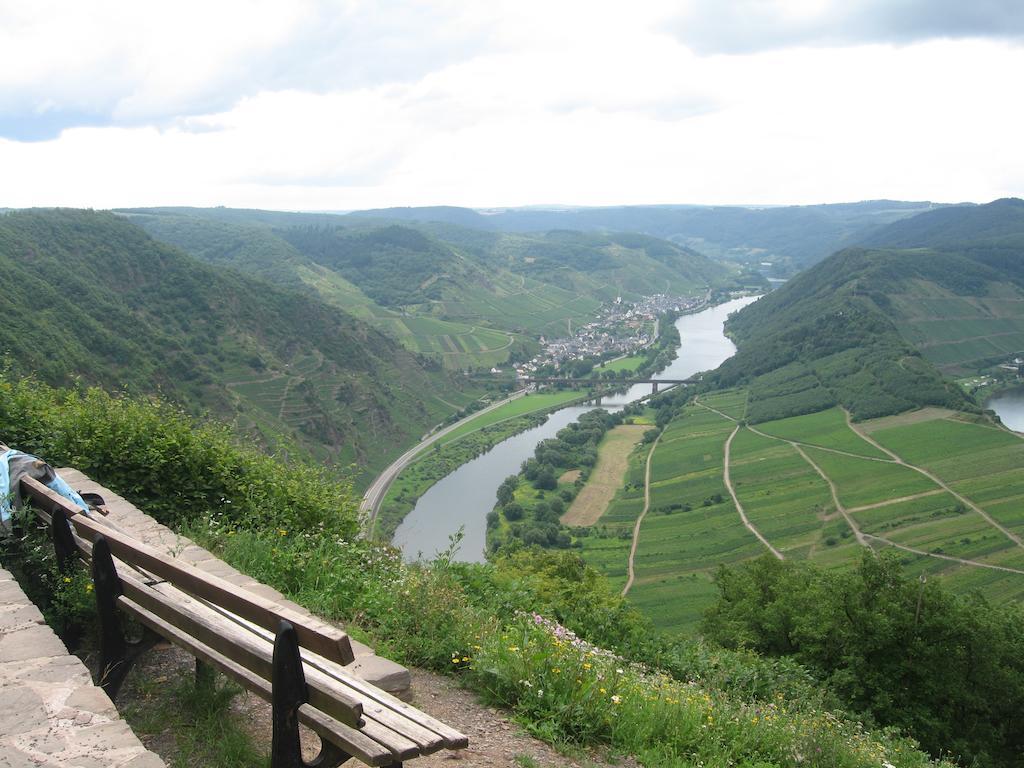 Haus Anna Villa Zell an der Mosel Ngoại thất bức ảnh